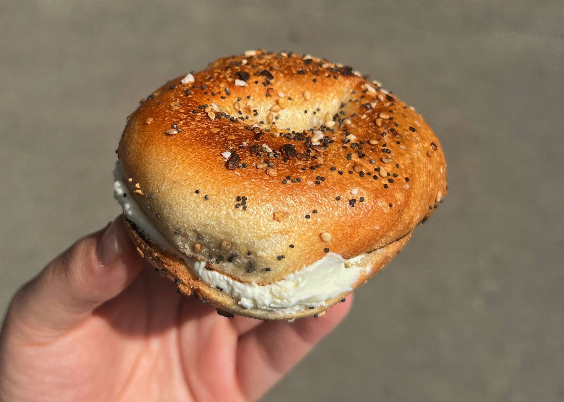 Plain bagel with everything bagel seasoning and cream cheese