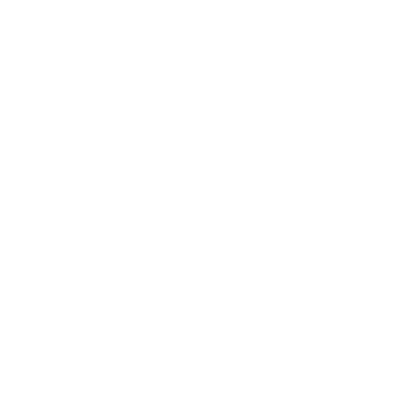 Logo da Forcepoint 