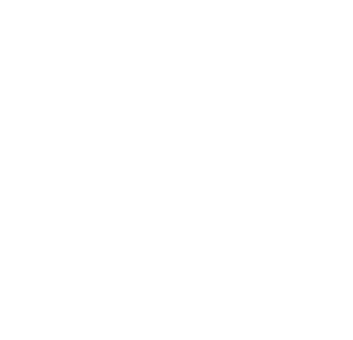 Logo da Crowdstrike
