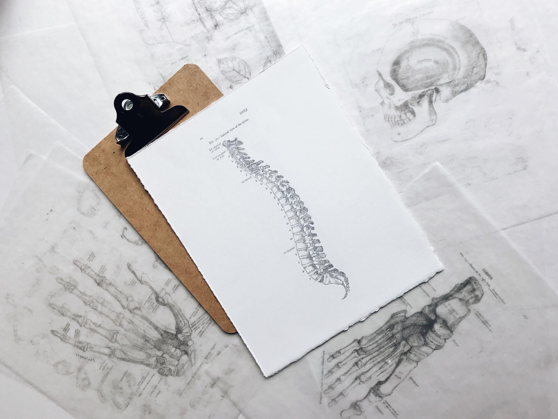 in-home physical therapy services in raleigh, nc