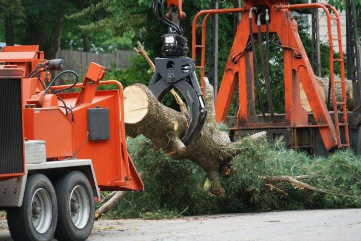 An orange crane with a hydraulic grapple lifting a tree log toward a wood chipper.