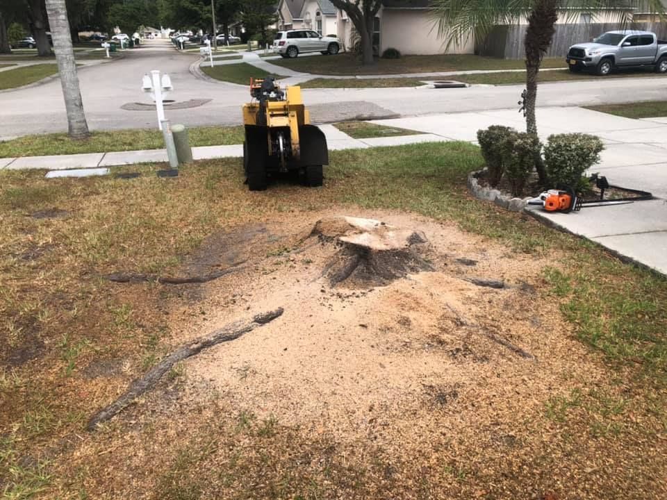 A tree stump is being removed by a machine in a yard.