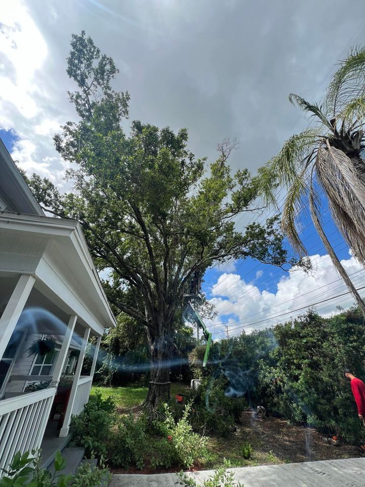 A house with a porch and a tree in front of it.
