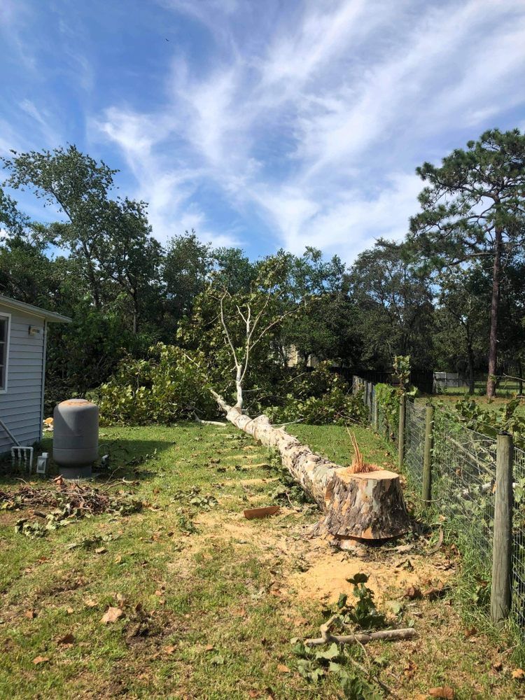 A large tree stump in a yard next to a house.