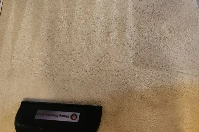 Carpet cleaning restoration