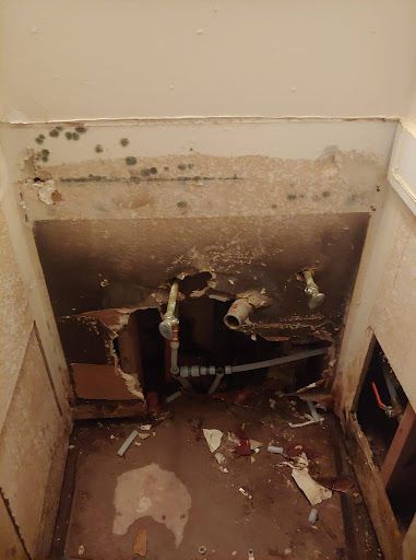 mold remediation