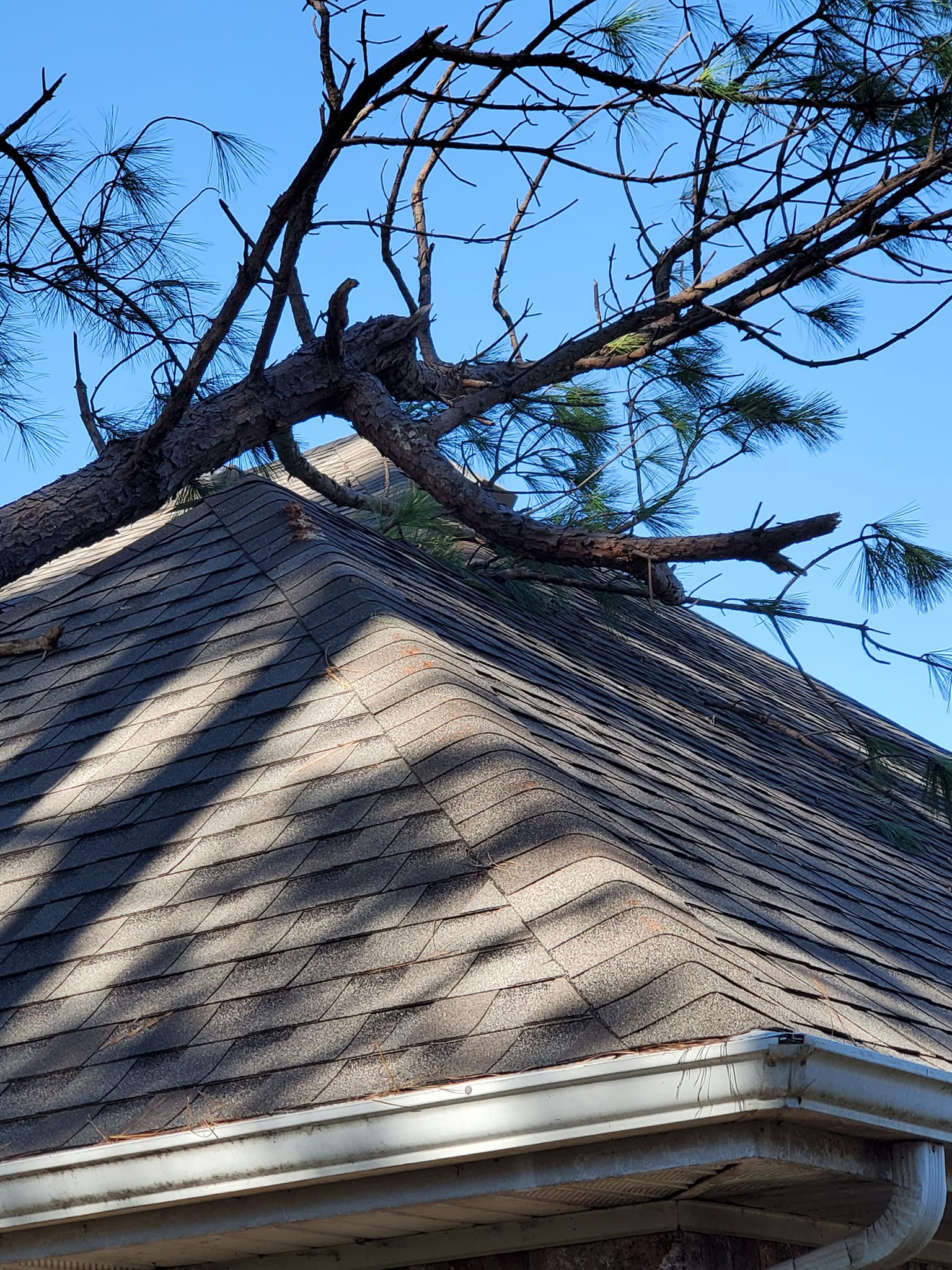 Brown's tree care fallen tree on roof