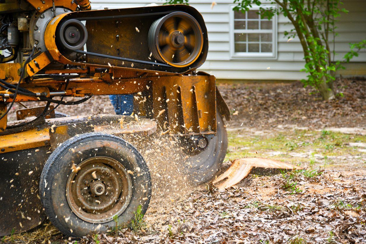 Example of tree grinding with machinery