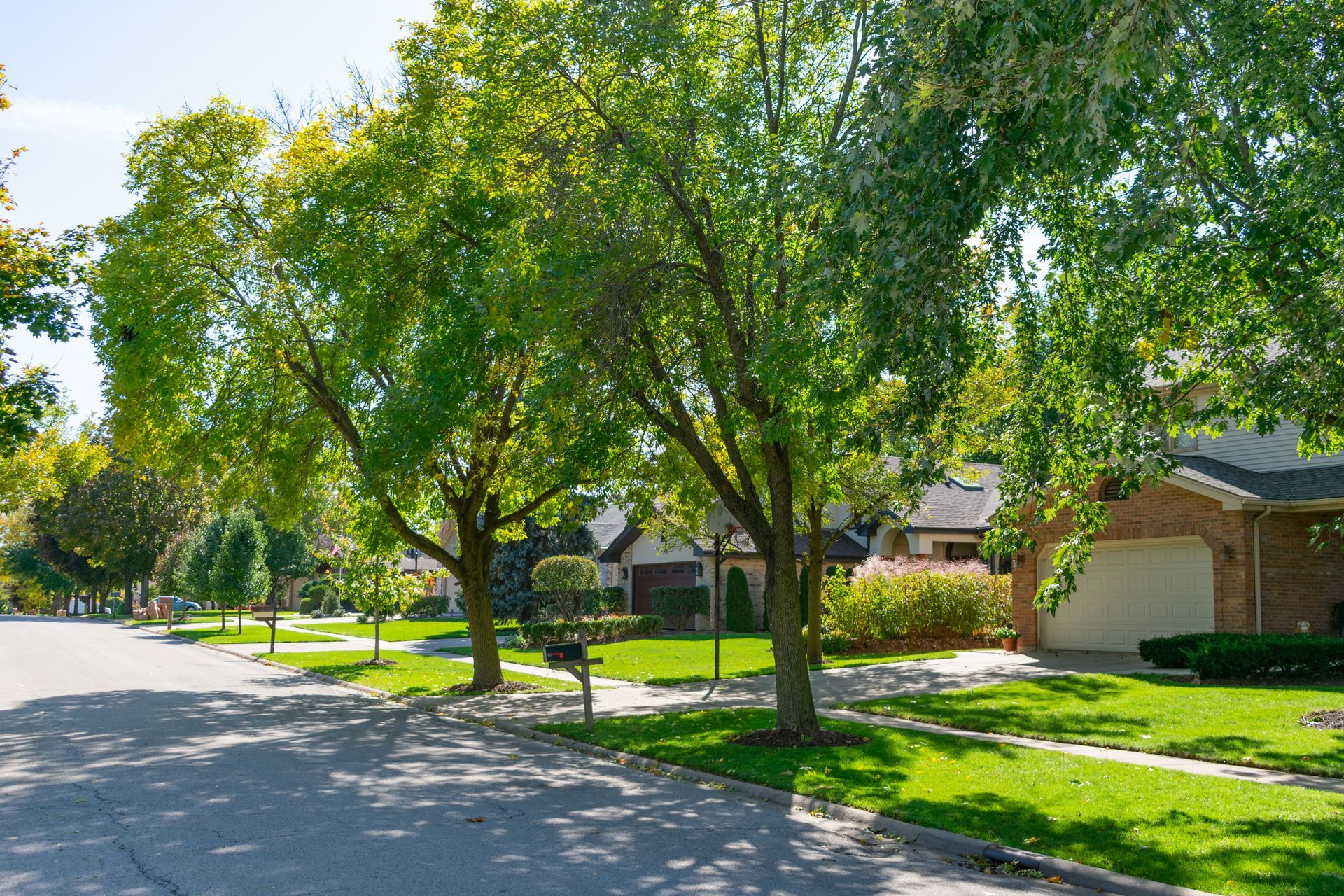 Neighborhood with trees.