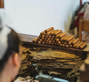 A person works in a workshop, stacking handmade cigars next to a pile of tobacco leaves.