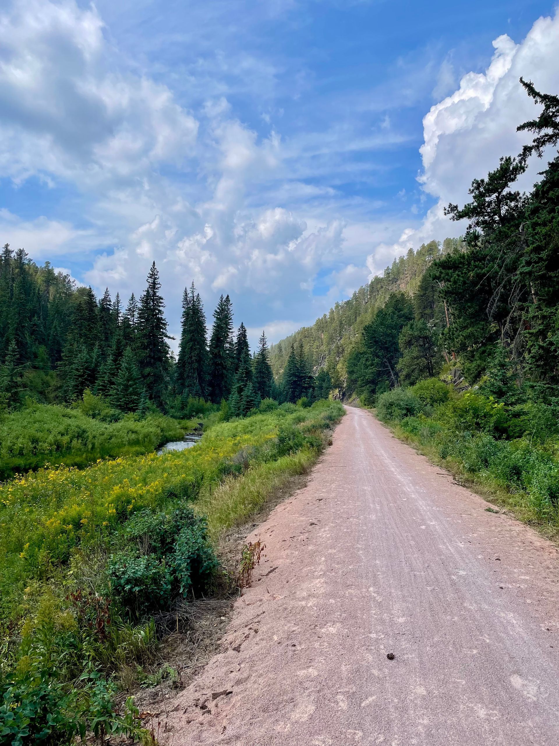 Gravel trail through green forest under a bright blue sky with clouds