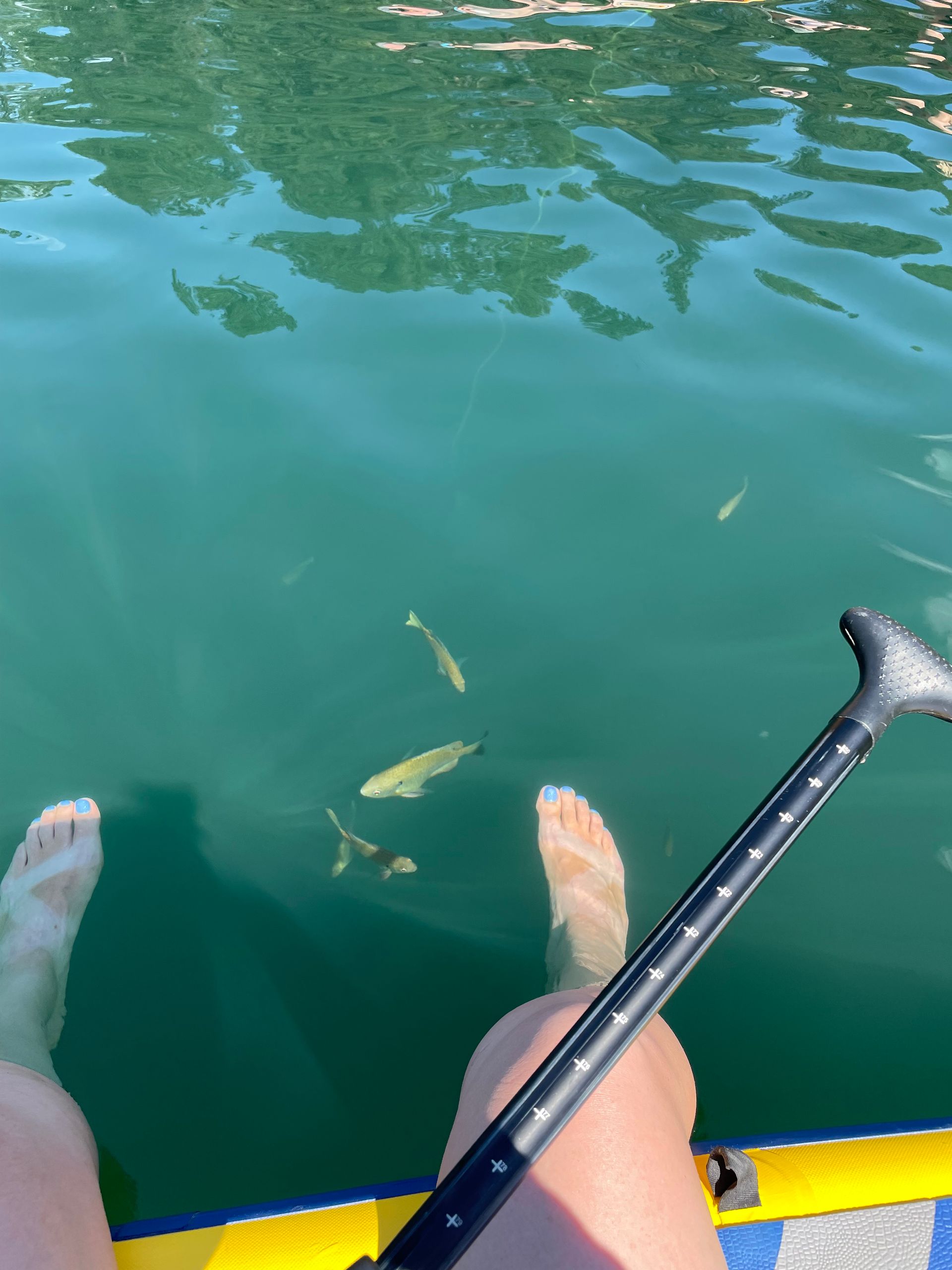 Feet on a boat above green water, with fish swimming near the surface.