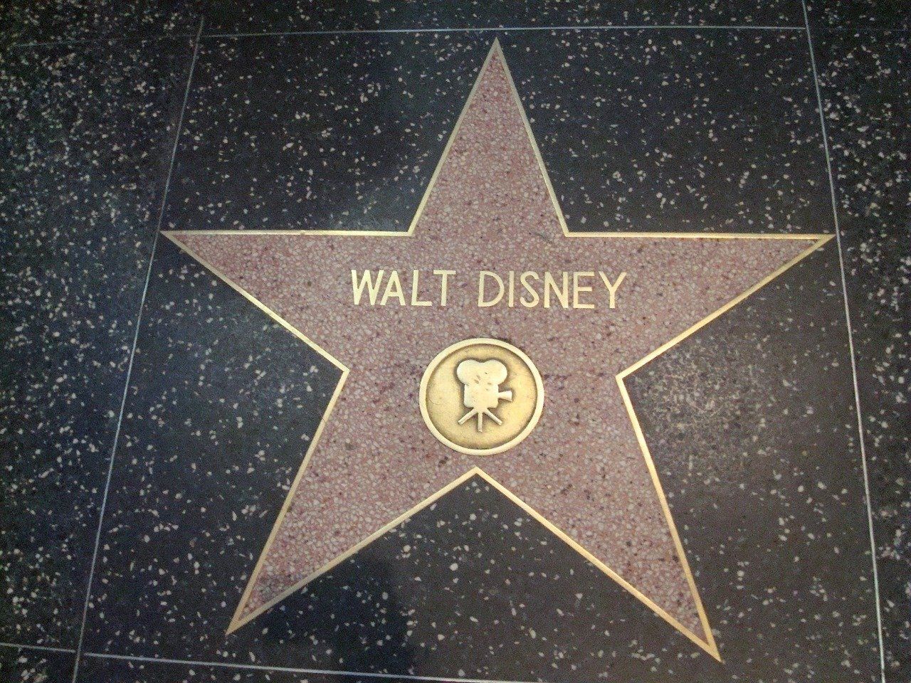 Estrella Walt Disney El Paseo De La Fama De Hollywood Estrella Walt Disney El Paseo De La Fama De Hollywood