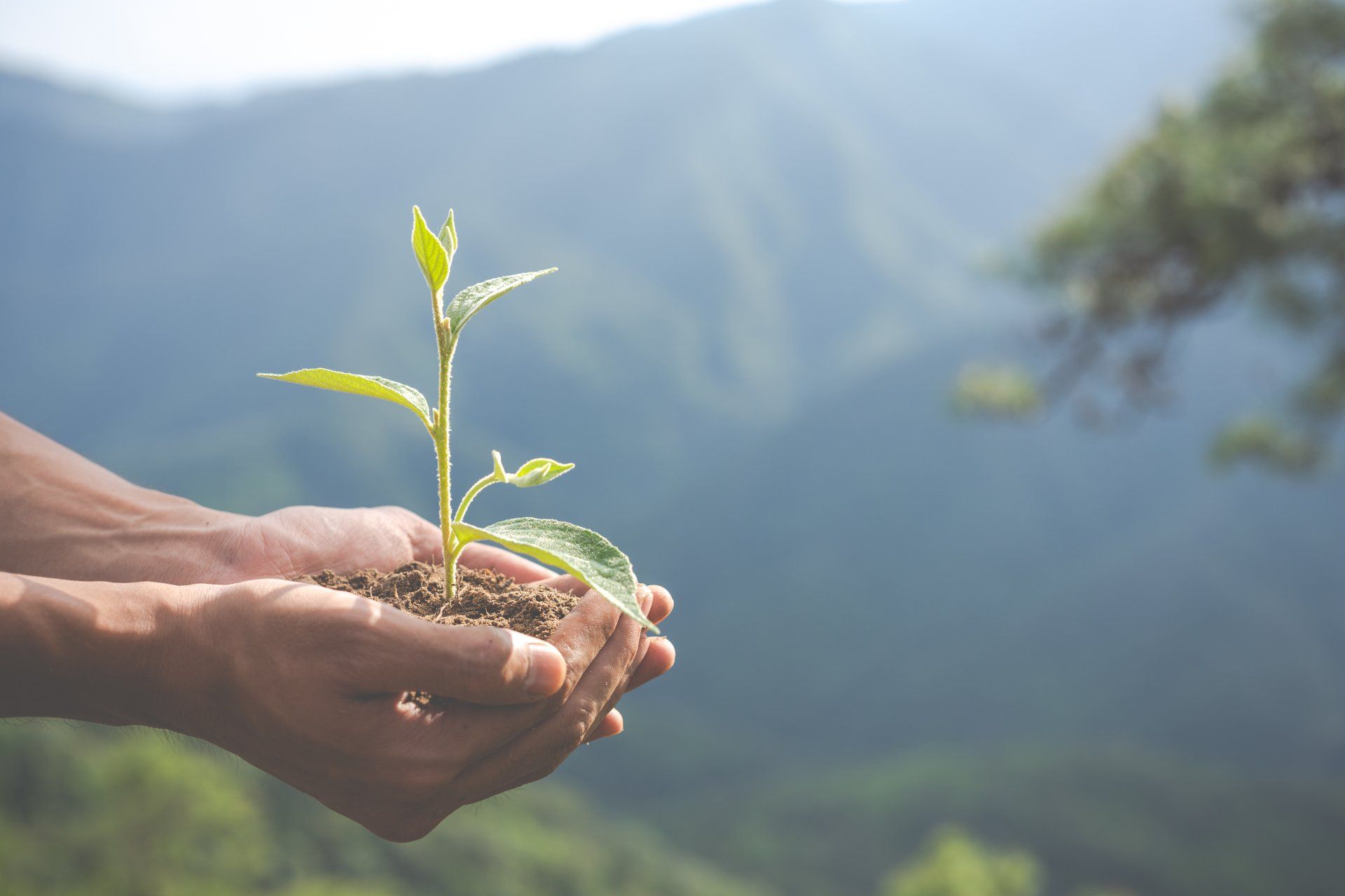 Sociedad y medio ambiente Efectos del ser humano en el planeta