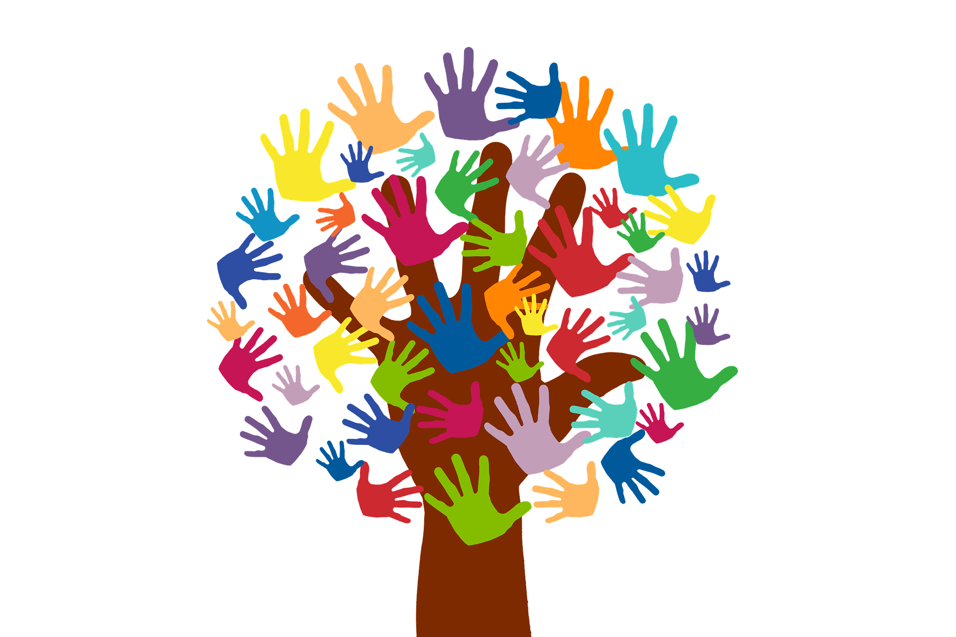 Voluntariado Voluntariado