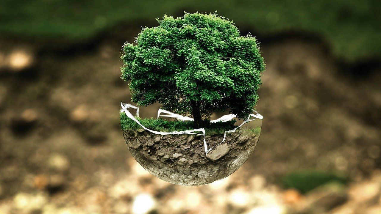 Medio ambiente