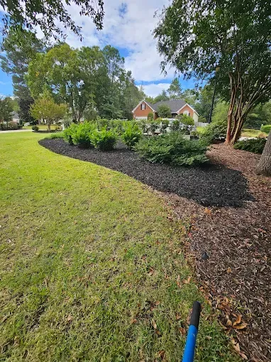 Lawn with dark mulch beds, shrubs, and a house in the background under a blue sky.