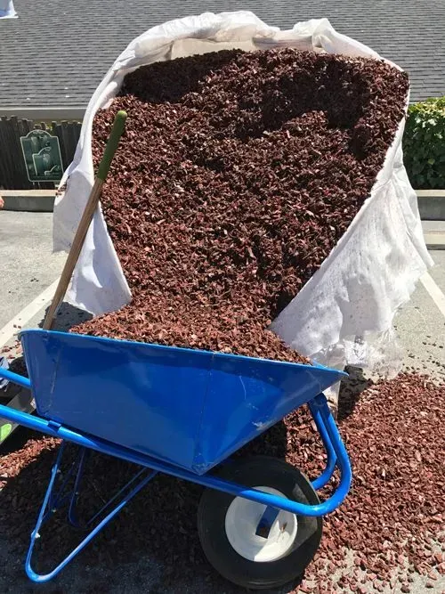 Large bag of red lava rock spilling into a blue wheelbarrow, shovel beside them.