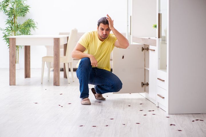 A man is kneeling down in a kitchen looking for bugs.