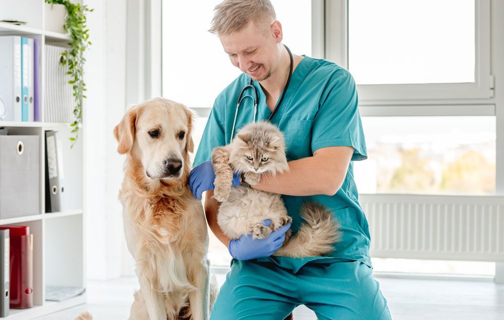VETERINARIA PERRISS - Vacunación y desparasitación