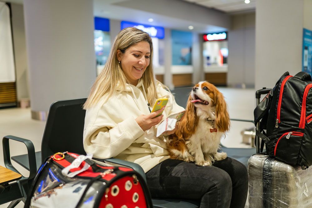 VETERINARIA PERRISS - Trámites en aeropuerto
