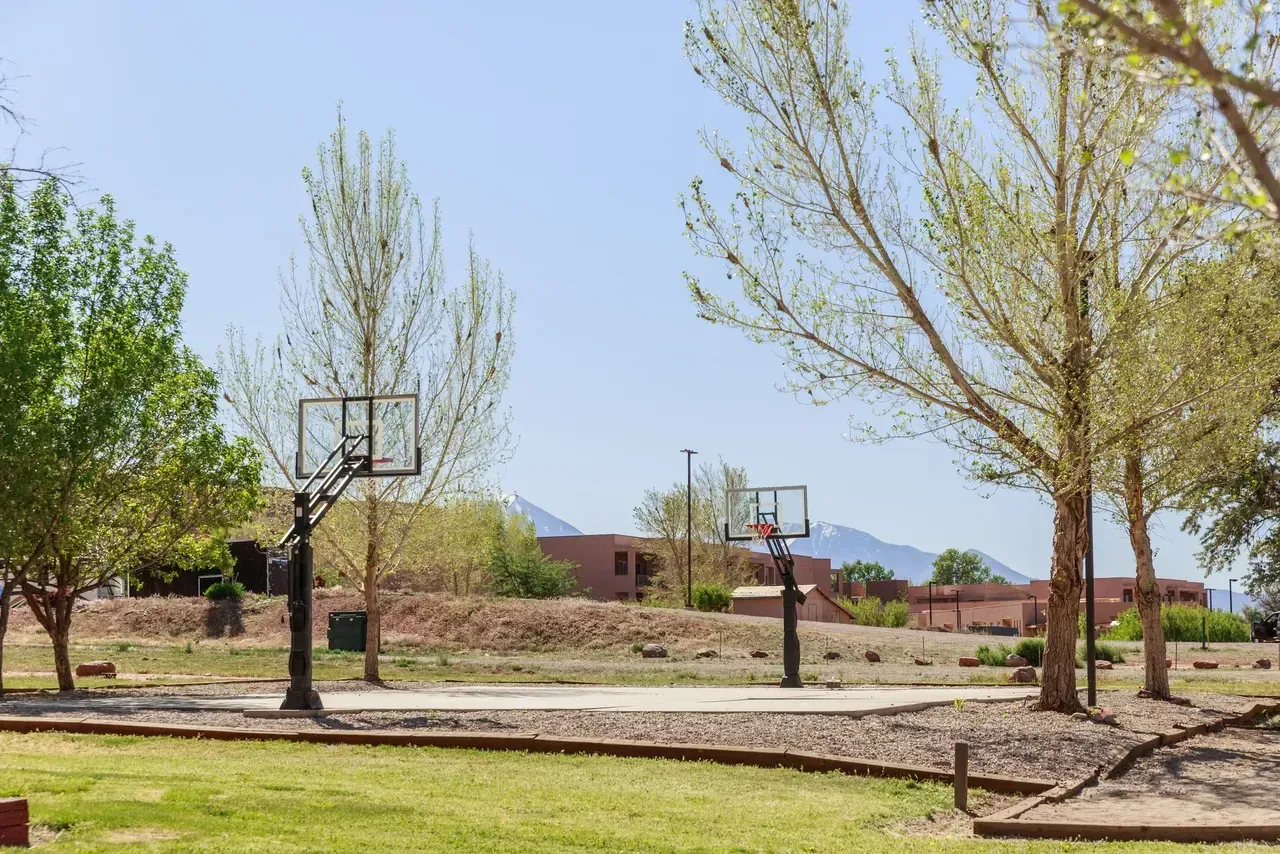There is a basketball hoop in the middle of a park surrounded by trees.