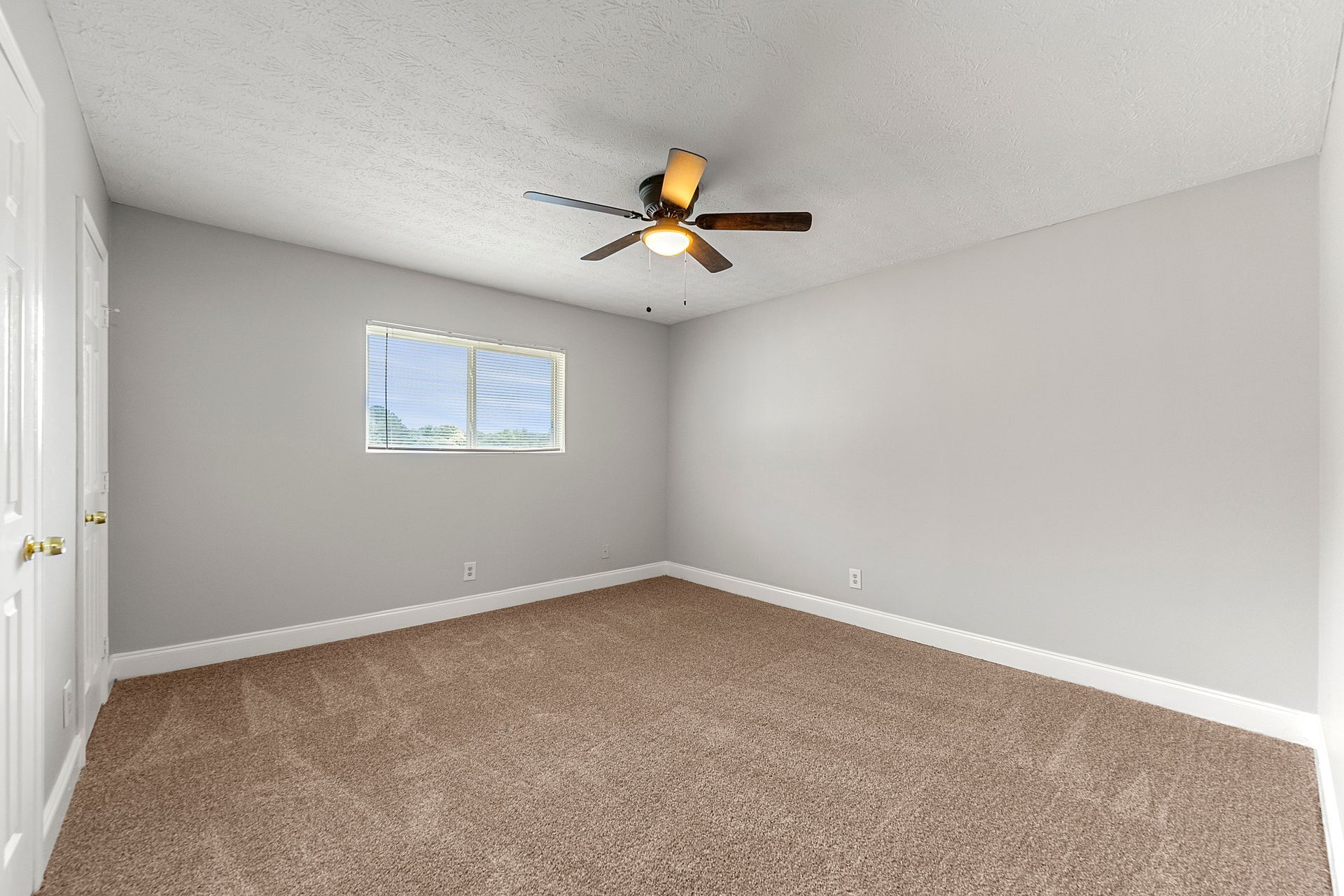 Empty beige-carpeted bedroom with gray walls, a window, white closet doors, and a ceiling fan.