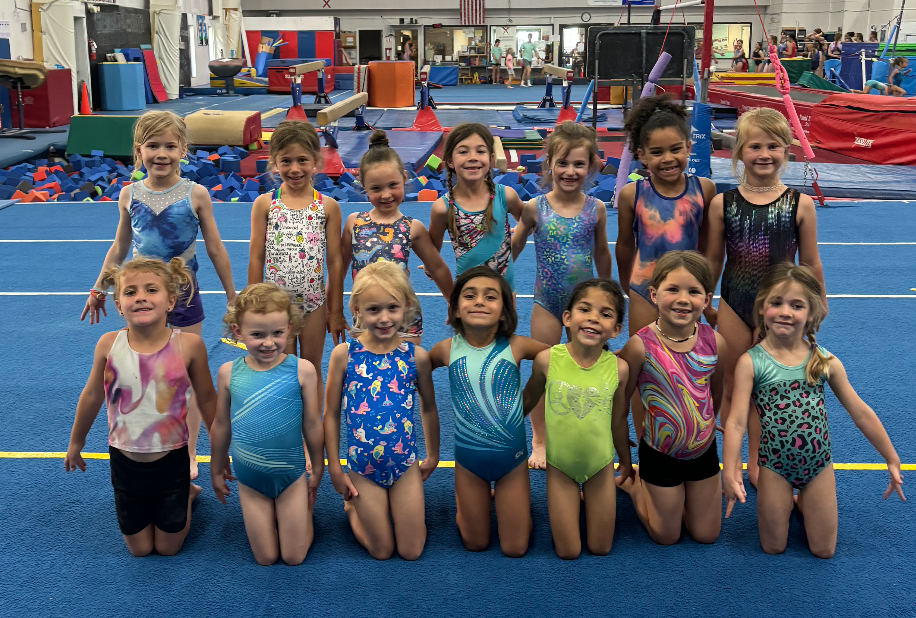 A group of young girls are posing for a picture in a gym.