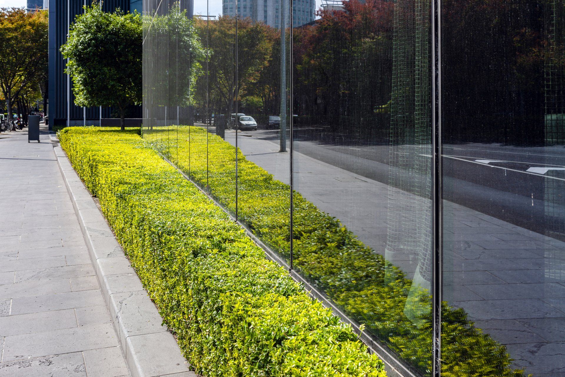 Wood Retaining Walls — Sydney, NSW — Emerald Lawn Landscape