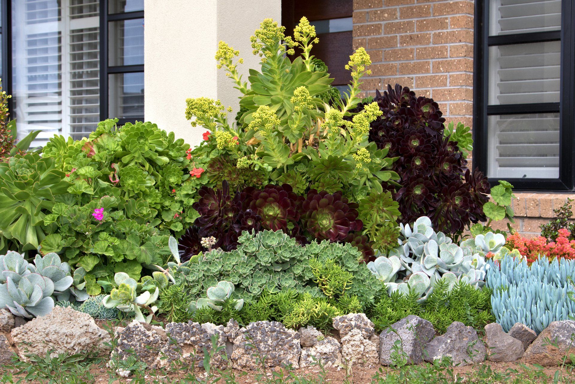 Landscape Maintenance Services — Sydney, NSW — Emerald Lawn Landscape