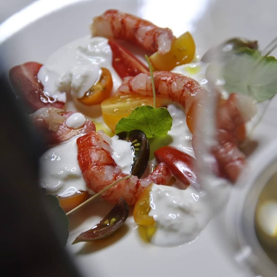 Shrimp salad with cherry tomatoes, yellow peppers, and creamy dressing on a white plate
