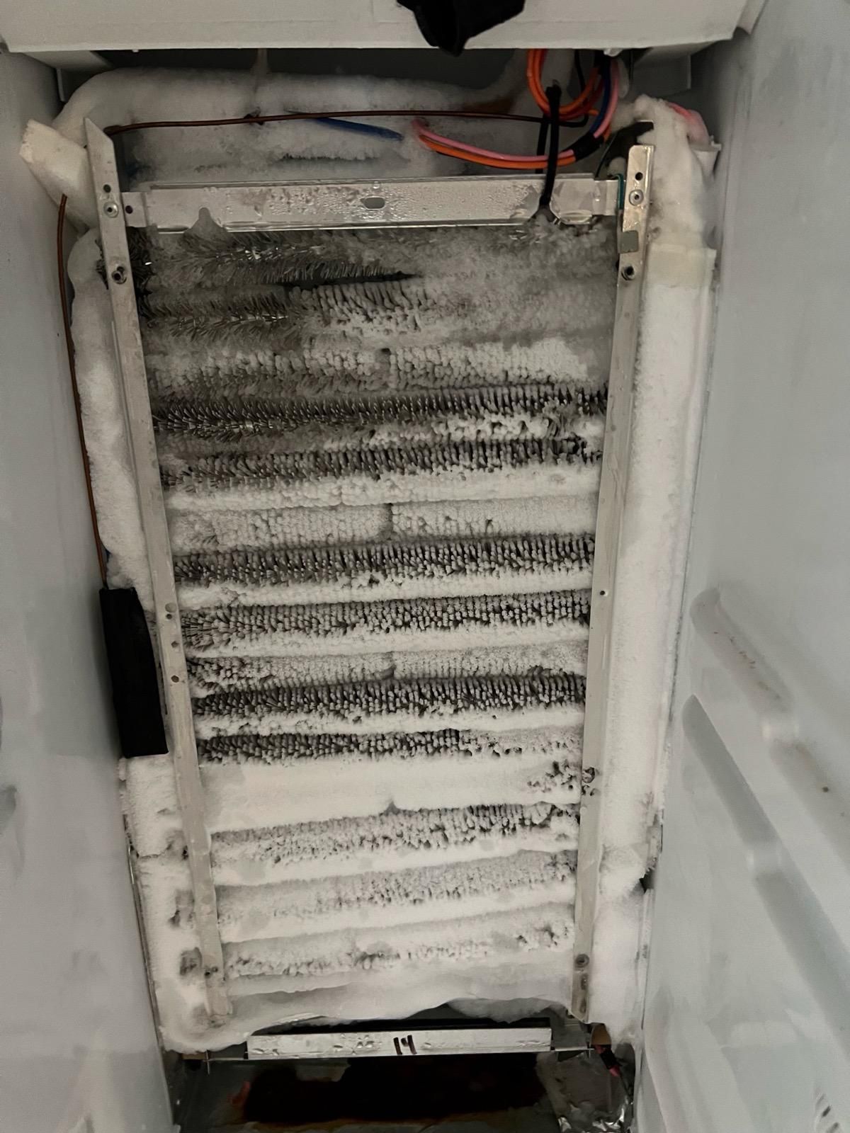 Automatic defrost is a life saver! Sometimes a simple component failure can make it look like a winter wonderland! Oops!