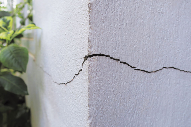 Mur en stuc blanc fissuré dans un angle, traversé par une fissure sombre. Feuilles vertes en arrière-plan.