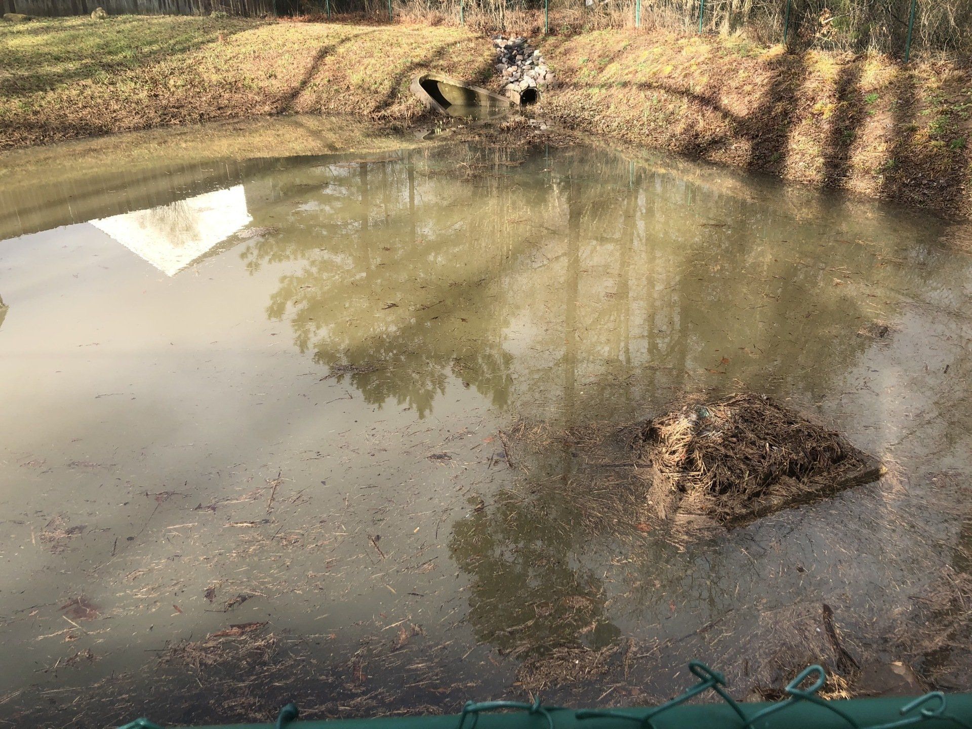 Stormwater Wetlands
