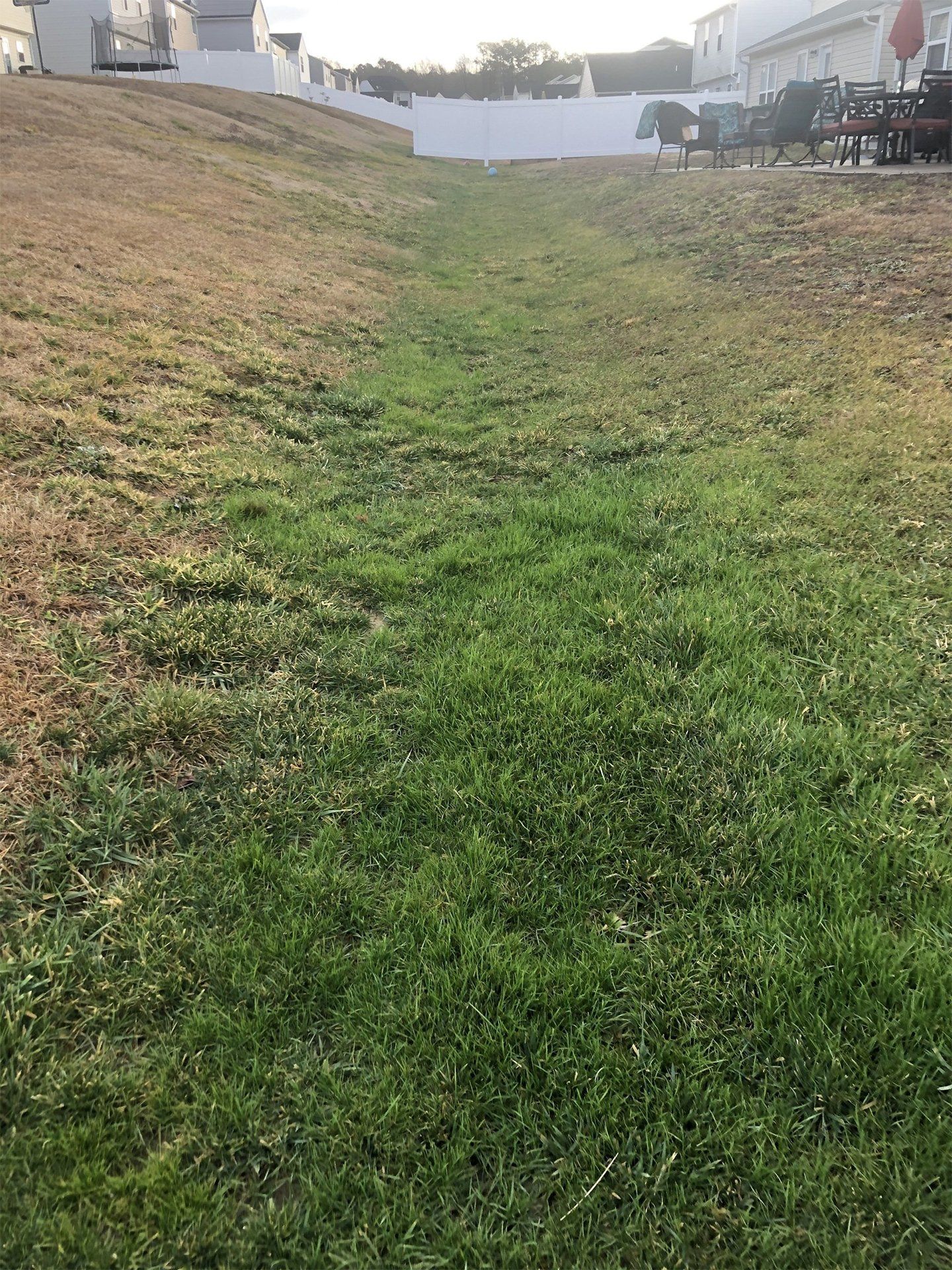 Grass Swales