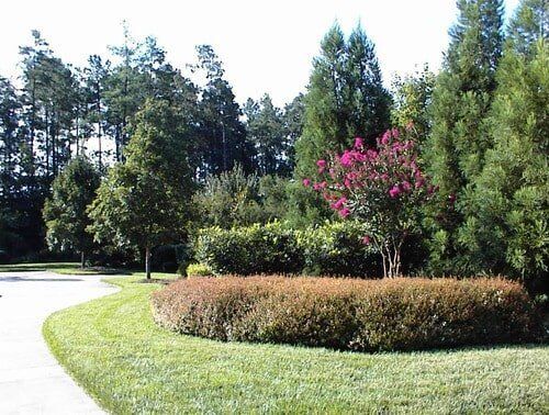 Beautiful Commercial Landscape