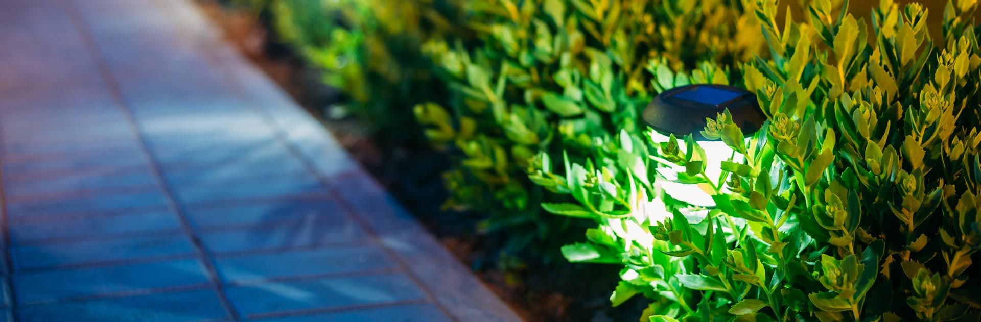 Landscape Lighting