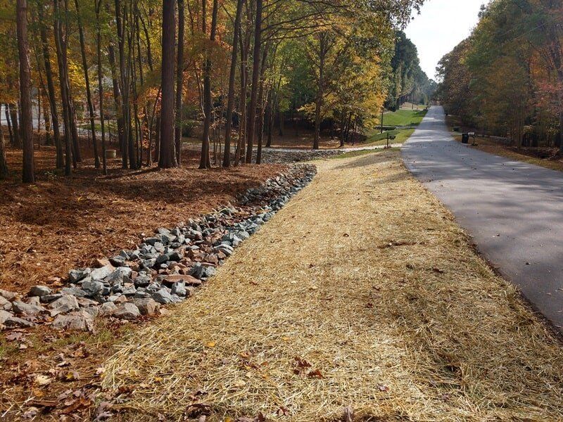 Forestry Mulching