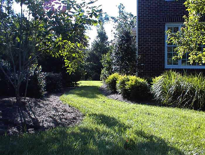 Backyard Landscape