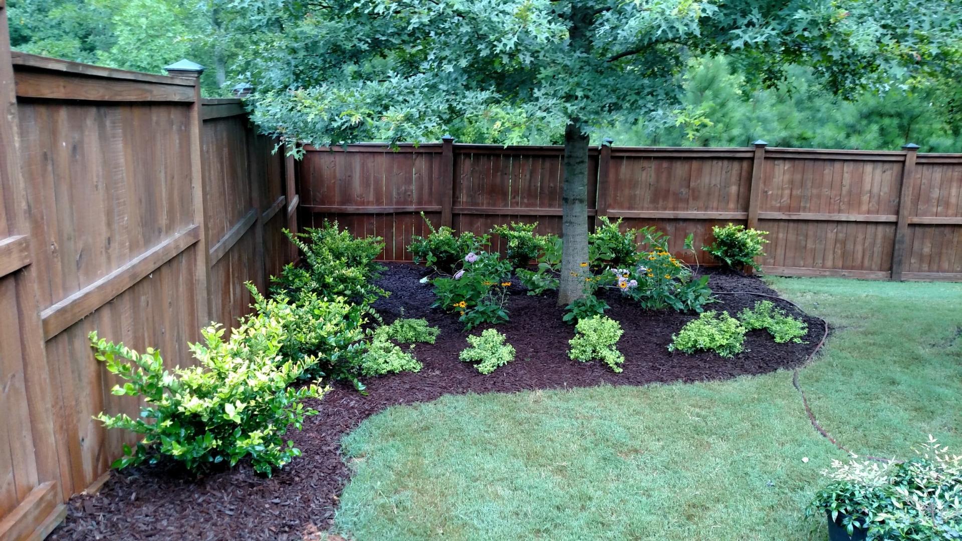 Garden Landscape