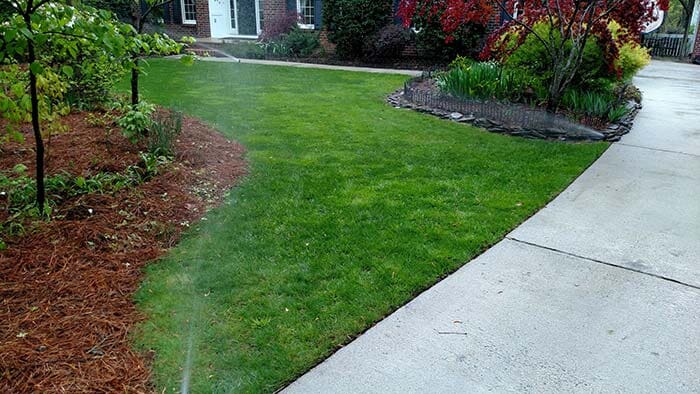 Lawn Landscape