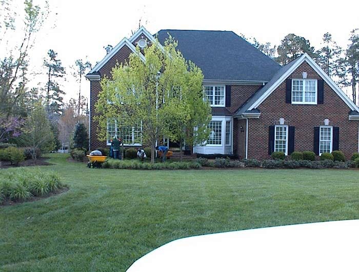 House Lawn Landscape