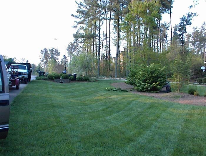 Commercial Landscape Design