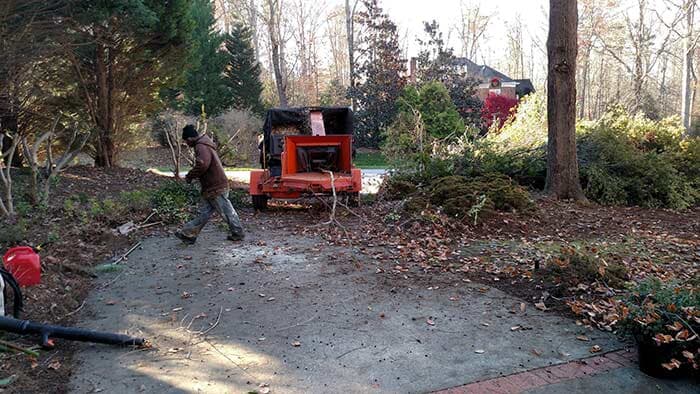 Land Clearing