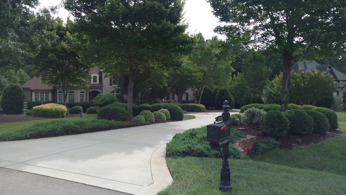 Beautiful Sidewalk and Landscape