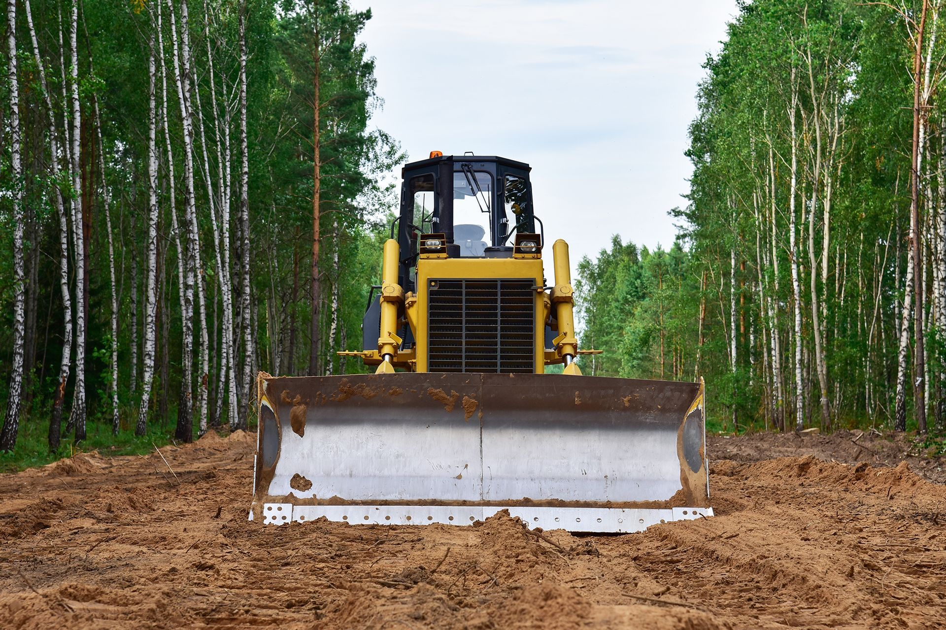 A bulldozer is moving dirt in a forest.