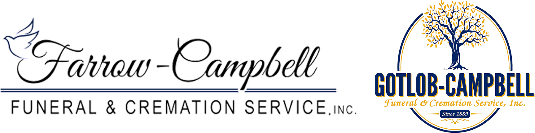 logo-image