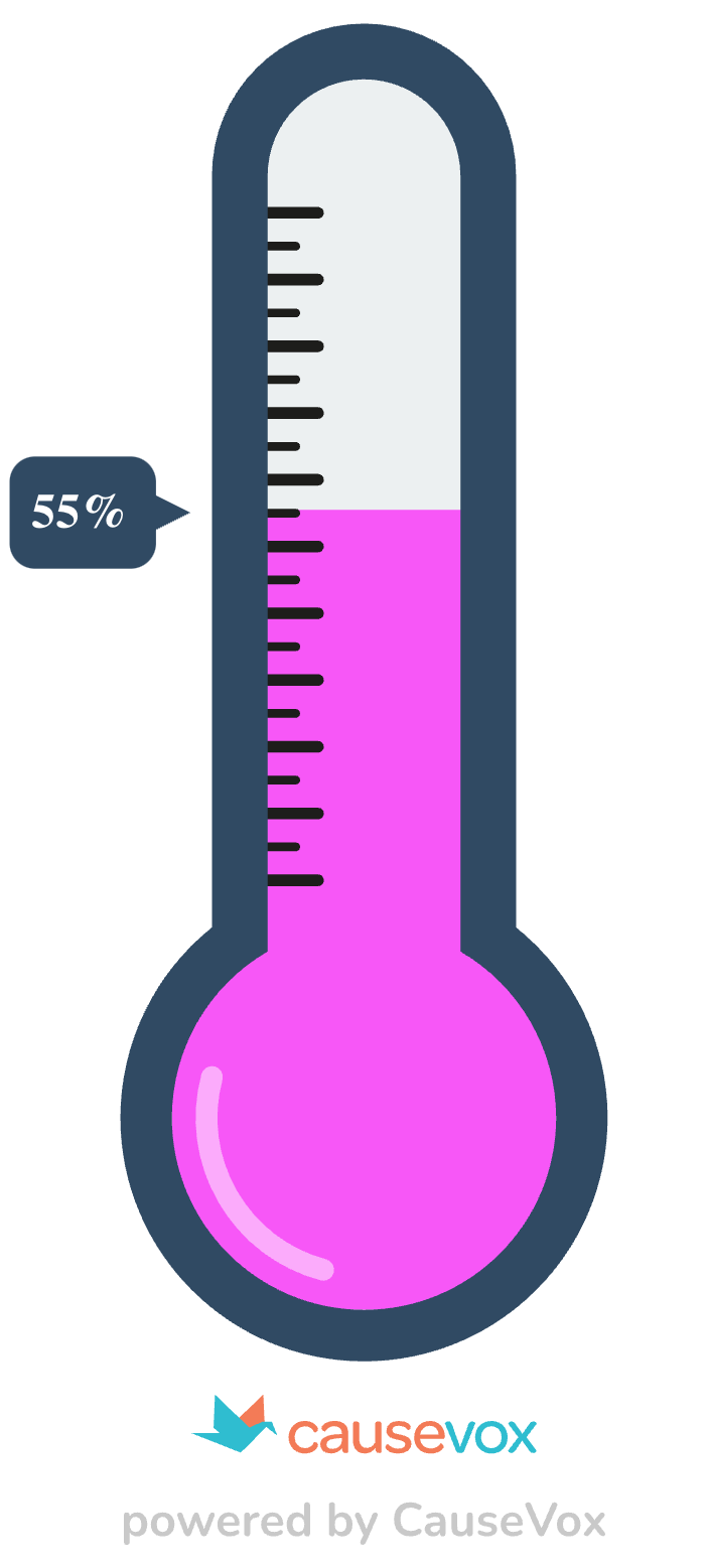 A pink fundraising thermometer graphic showing 55% completion, powered by CauseVox.