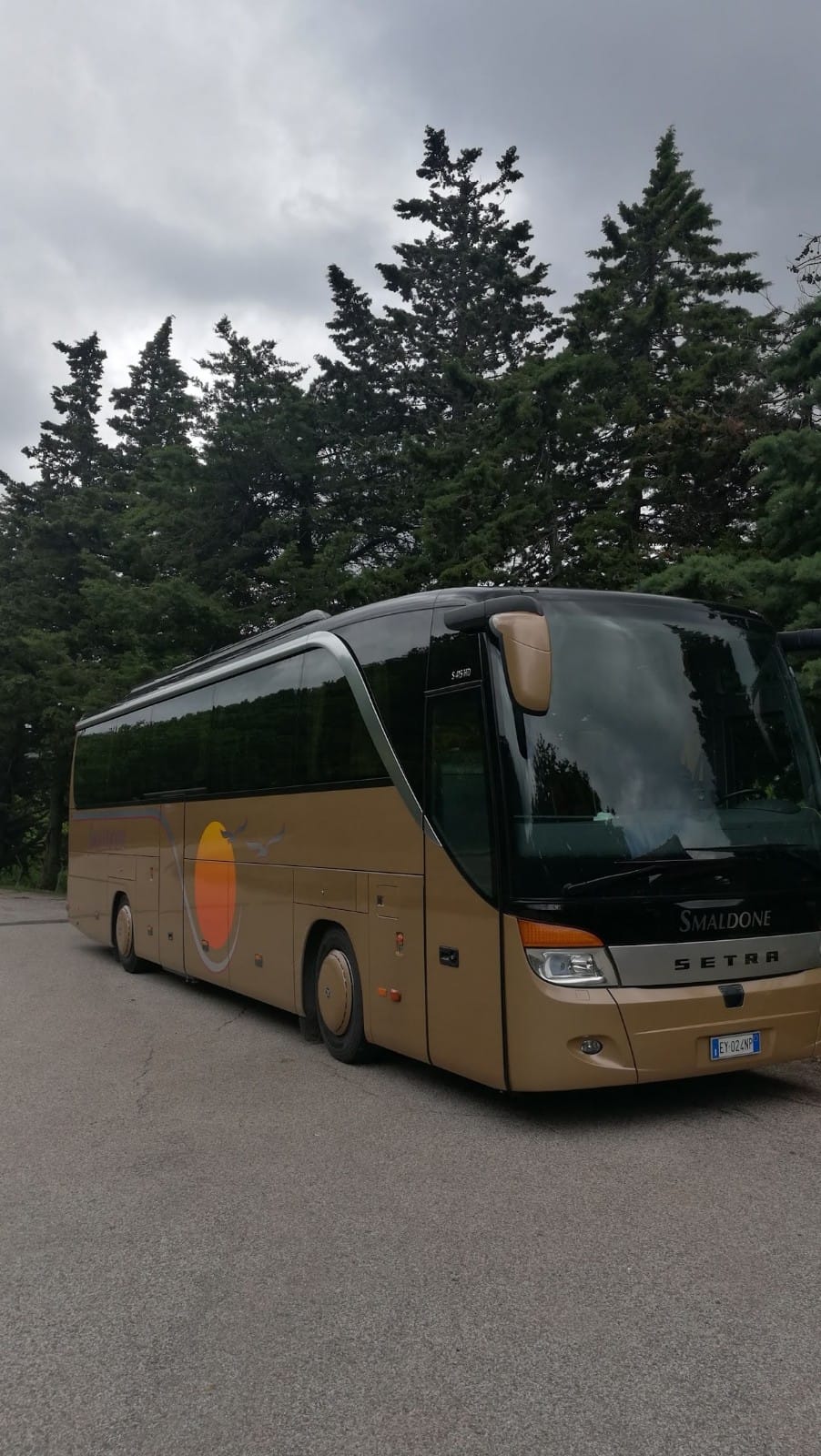 bus turistico montagna