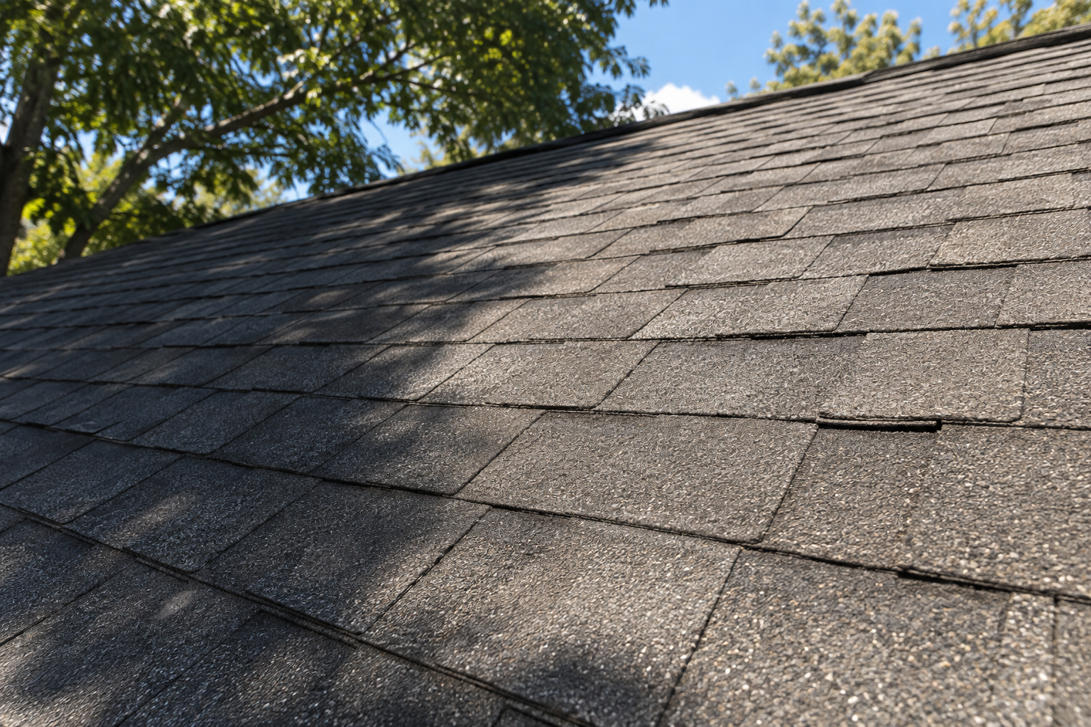 Bright summer sunlight falls across an asphalt-shingle roof, highlighting the contrast between sun and shade.